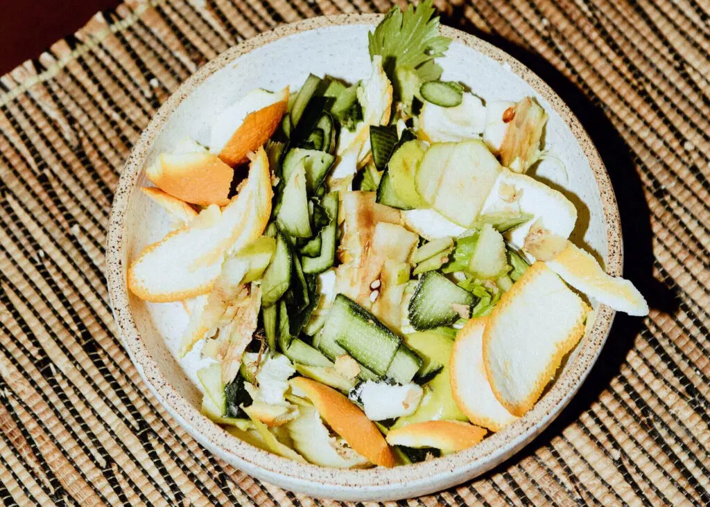 food scraps for composting