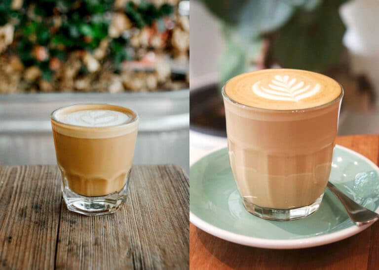 Cortado vs latte comparison
