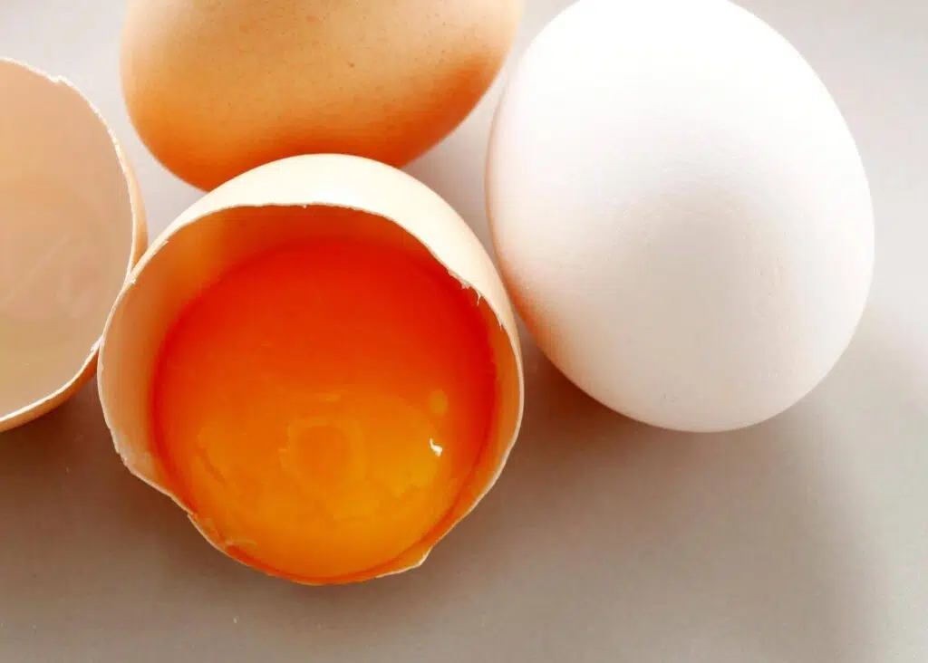 eggs yolk