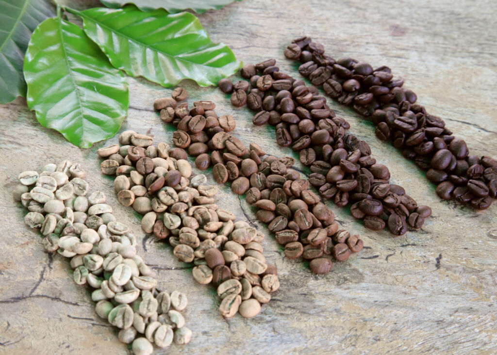 different roast levels of coffee beans